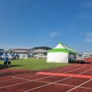 보성공설운동장 | 보성군 축제 다 청년 페스티벌 후기(초대가수 김종국, 경서예지, 래원 등)