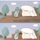 리드컴 이미지