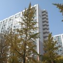 매정연지어린이집 | 경매왕초보의 월계사슴3단지아파트 권리 및 입지 분석