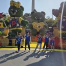 용인대성서태권도 이미지