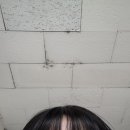10월 첫째 주 포토덤프,, 근데 술냄새를 곁들인