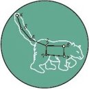 치성광여래도 이미지