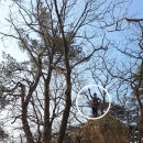 상주 남장사 관음선원 목각아미타여래설법상 | ■ 상주[노움산/남장사]트레킹!!Sunglasses가(길)나서다.2026.1.18