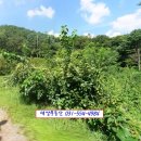 남양주시 대형 물류터미널 물류창고 부지 용지 산업단지 공단 조성 아파트 시행 사업용 토지 30.128평 매매 이미지