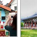 통영터널로가로수 이미지