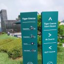 24/08/13 프라자용인cc 타이거코스 골프 후기