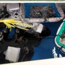 김명자낙지마당 정자점 이미지