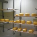 남매목장 이미지