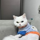 골골탬버린클럽 이미지