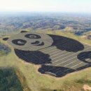 동기 태양광발전소 이미지