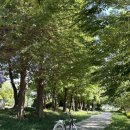 매창공원 이미지