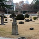 경북대학교 박물관 이미지