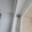 구로-현장-구로-1437 | [구로구 입주청소] 구로동입주청소 역대급 꼼꼼함! 부모님 새집 입주선물 대성공 리얼 후기