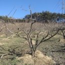 새봄농장 이미지