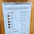 힐링엔젤스 | [후기]완전 힐링 대구 디톡스 '힐링 엔젤스'