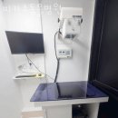 피카소 동물병원 이미지