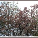 조선대학교병원 이미지