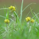 서곡초등학교 이미지