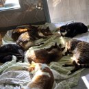 옹기종기 이미지