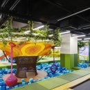 소노캄 델피노C 이미지