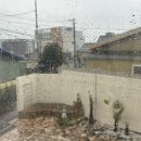 오성2목장 이미지