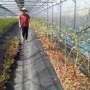 곰바우농장 이미지