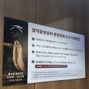 영천고추방앗간 | 울산 남구 달동 맛집 장덕풍천장어 장어 한우 조합 재방문후기