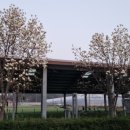 용소 보건진료소 이미지