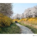 하나로마트 대덕농협본점 이미지