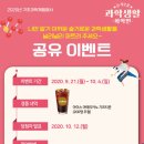 슬기로운 과학생활 이미지