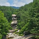 사선대야영장 이미지