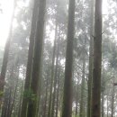 제주평화음악회 이미지