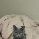 사랑나무치과의원 이미지