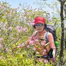 유동마을회관 이미지