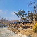 금산만악리수목원 오토캠핑장 이미지