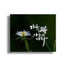 캘리 이미지