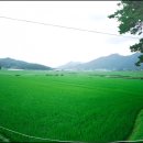 득량주유소 이미지