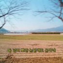 봄, 희망의소리 이미지