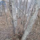 재포주유소 이미지