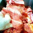 참돈돼지 이미지