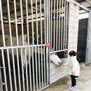 시흥승마힐링체험장 이미지