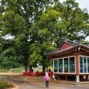 당산나무 공중화장실 이미지