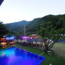 아일랜드코쿤 이미지