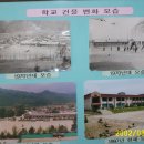 용하초등학교 이미지