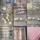 군산대학교박물관 | 봄의 시작점