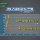 에스터 이미지