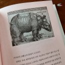 세스커뮤니케이션 이미지