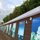 제주항구 이미지