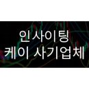 인사이팅 | 인사이팅케이 INSIGHTINGK 사기 피해 대응방법