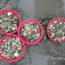 갯벌농장 이미지